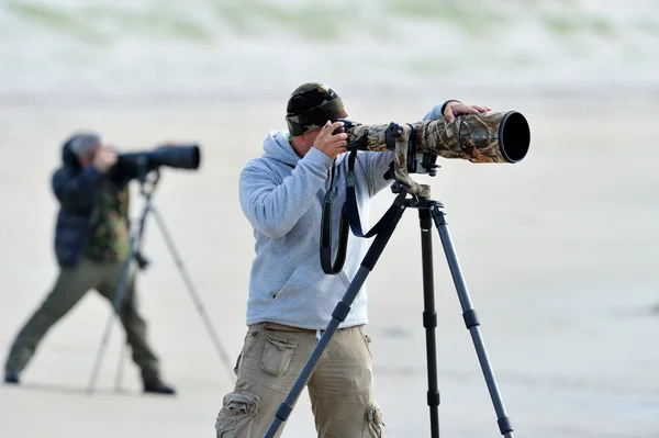 Wildlife photographer outdoor Stock Picture