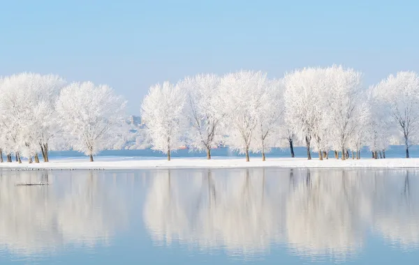 Winterlandschap met prachtige weerspiegeling in het water — Stockfoto