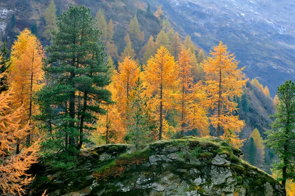 Montaña paisaje en otoño —  Fotos de Stock