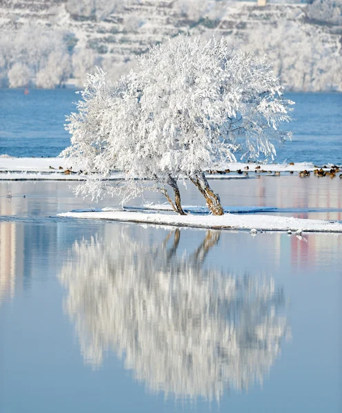 Paesaggio invernale con bellissimo riflesso in acqua — Foto Stock