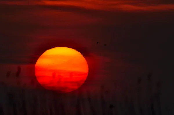 Schöner Sonnenuntergang — Stockfoto