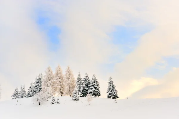 Vinterlandskap — Stockfoto