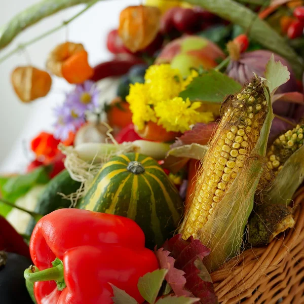 Frutas e produtos hortícolas frescos — Fotografia de Stock