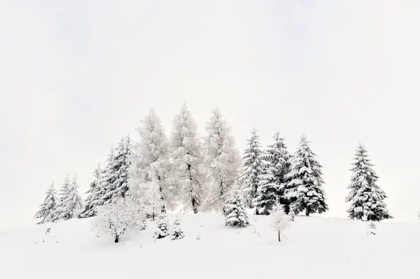 Krásná zimní krajina — Stock fotografie