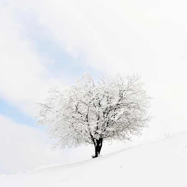 Beau paysage d'hiver — Photo