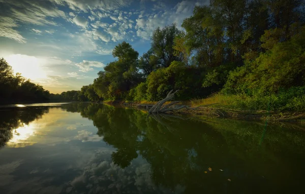 Tuna delta peyzaj — Stok fotoğraf