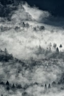 Dağlardaki güzel kış manzarası