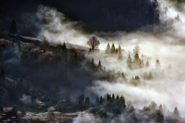 Hermoso paisaje de invierno en las montañas — Foto de Stock