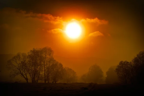 Paesaggio al tramonto — Foto Stock