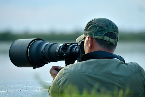 Wildlife photographer outdoor, standing in the water — Stock Photo, Image