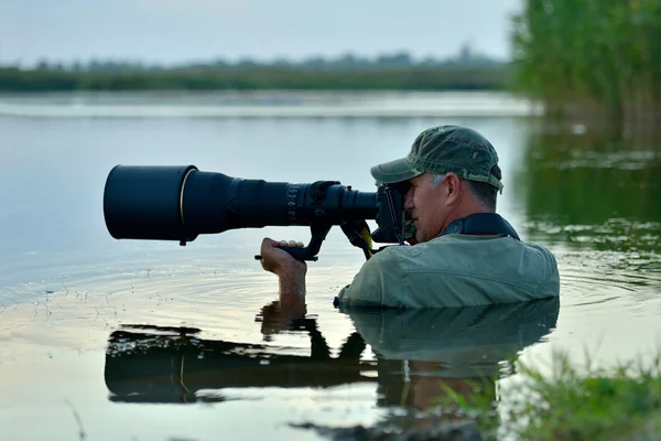 Wildlife photographer outdoor, standing in the water — Stock Photo, Image