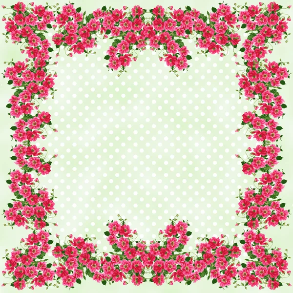 Rosa emoldurada Pastel Polkadots — Fotografia de Stock