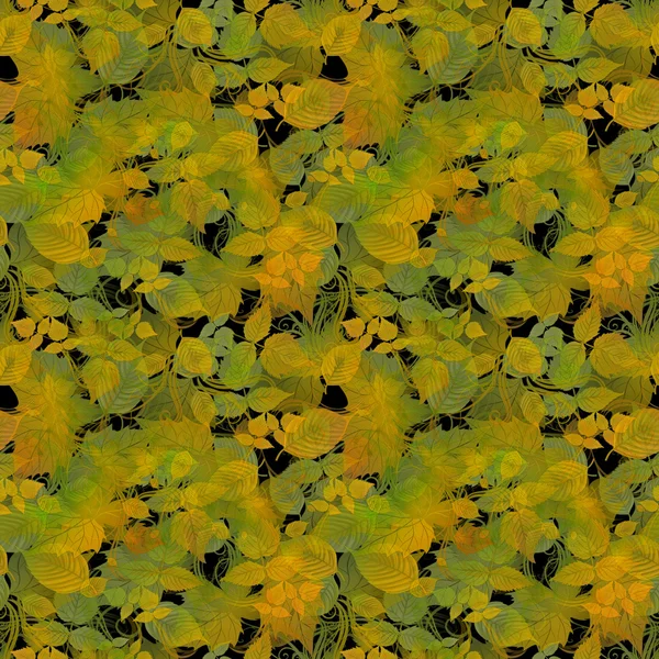 Autumn Color Leaves on Black Background — Stock Photo, Image