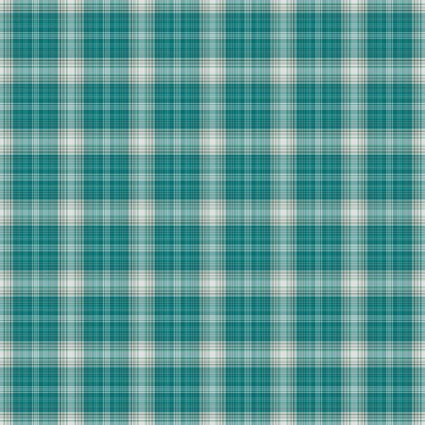 Turquoise & Plaid blanc sans couture — Photo