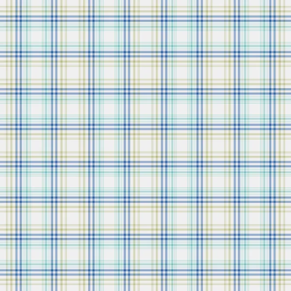 Aqua, Blue, White и Flege Plaid — стоковое фото