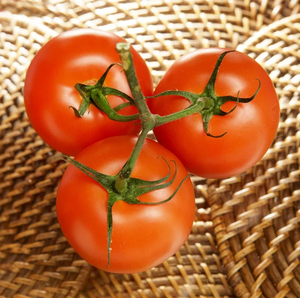 Tomates frescos —  Fotos de Stock