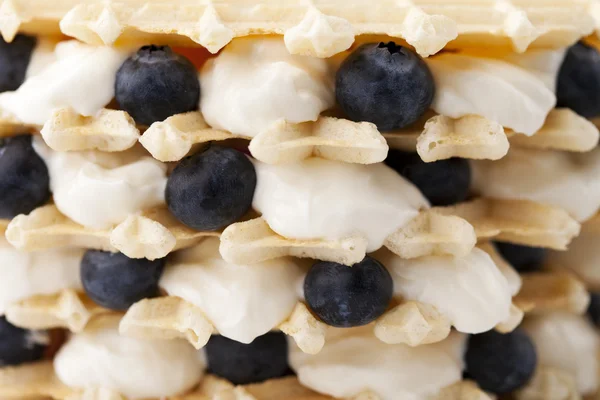 Waffle with blueberry — Stock Photo, Image