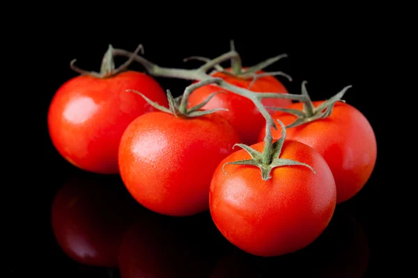 Verse tomaten — Stockfoto