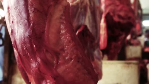 Carne de carneiro — Vídeo de Stock