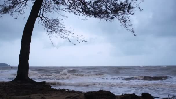 Monsun — Wideo stockowe