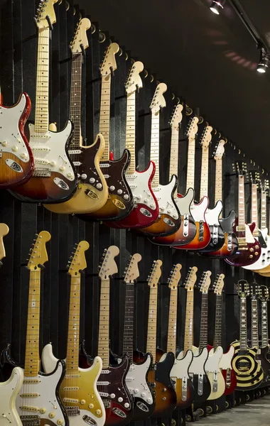 elektro gitar