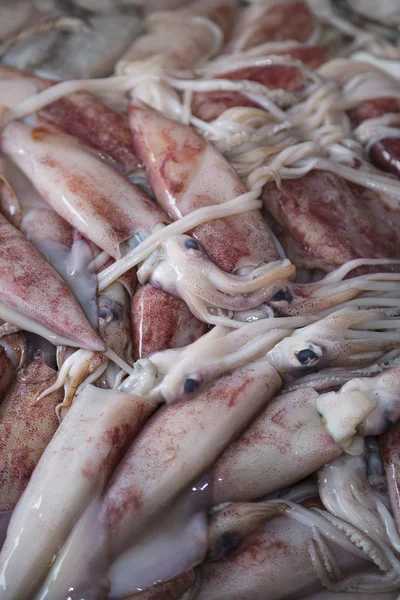 Calamares frescos en el mercado — Foto de Stock