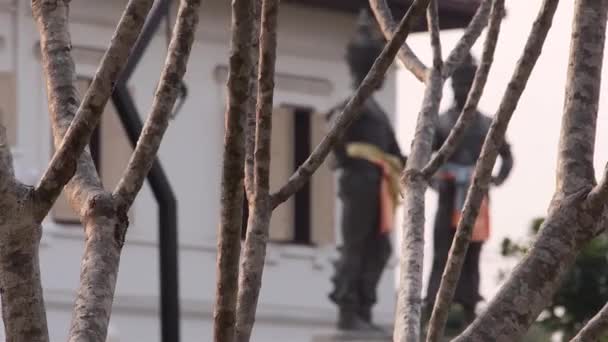 Bouddha Heykellerinin Binaların Önündeki Ağaç Gövdesi Sağa Sola Kayıyor — Stok video
