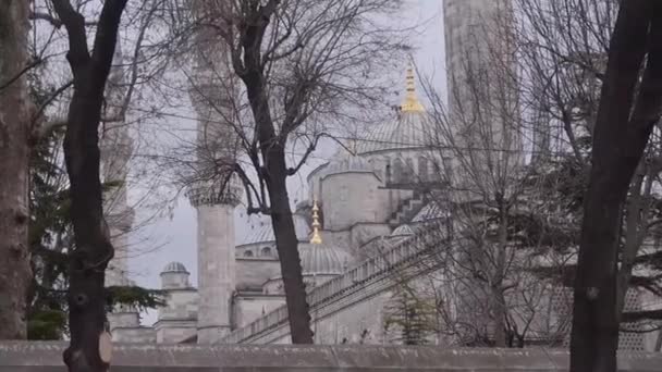 Mesquita Atrás Galhos Árvore Seca Linha Elétrica Estática — Vídeo de Stock