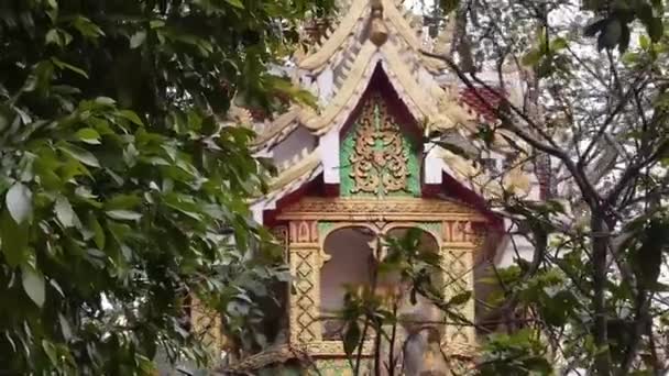 Ağaç Dallarının Yaprakların Arkasındaki Renkli Tapınak Sağa Sola Kayıyor — Stok video