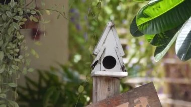 Bird Nest As Restaurant Sign - Close Up, Then Zoom Out And Slide Right To Left