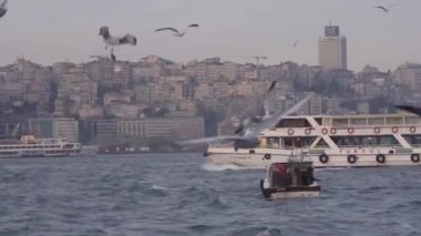 Güçlü bir kabarma ve şehrin önünde uçan martılarla dolu su kaynağından geçen tekneler...