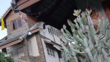 Lines.... Wood, Rock And Tiles House Near Tree And Stairs - Slide Right To Left, Then Zoom (with stabilizer)