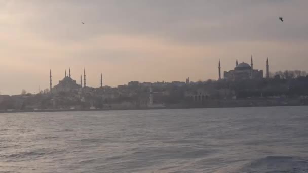 鸟飞近清真寺及从船看城市 — 图库视频影像