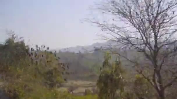 Krajina Flórou Horami Zadním Pohledu Okna Vlaku Posuv Zprava Doleva — Stock video