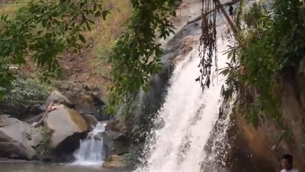 Man Waterfall Flora Handheld — Vídeo de Stock