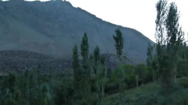 Trees And Water Source Near Mountains - Pan - Right To Left 