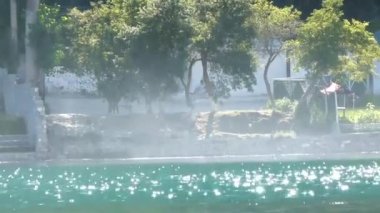 Trees Behind Sun Shining On Water Source - Static