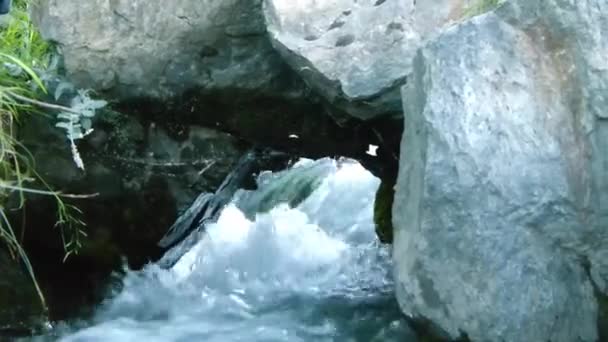 Water Source Flowing Rocks Grass Static — Stockvideo