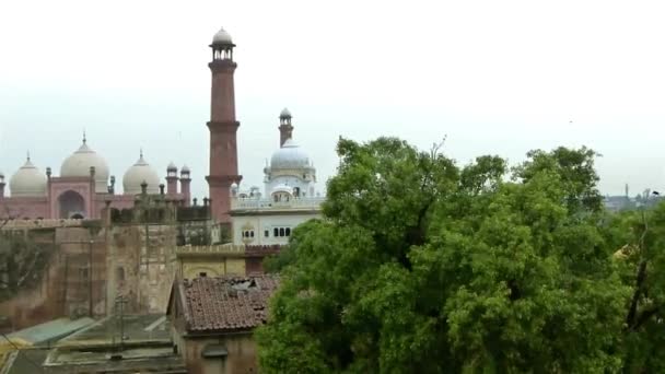 Mosque Buildings Landscape Flora Pan Left Right — Αρχείο Βίντεο