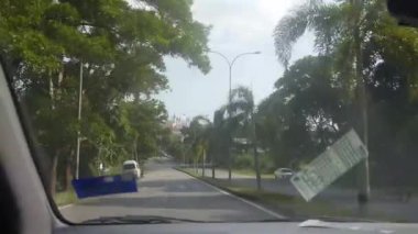 Driving Past Palm Trees On Road Near Car And Trees - Slide Forward