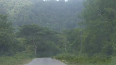 Driving Surrounded By Flora On Mountains - Slide Forward And Tilt Down To Up