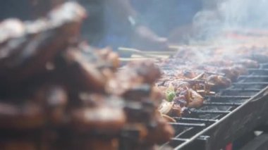 Meat On Barbecue With Smoke - Handheld