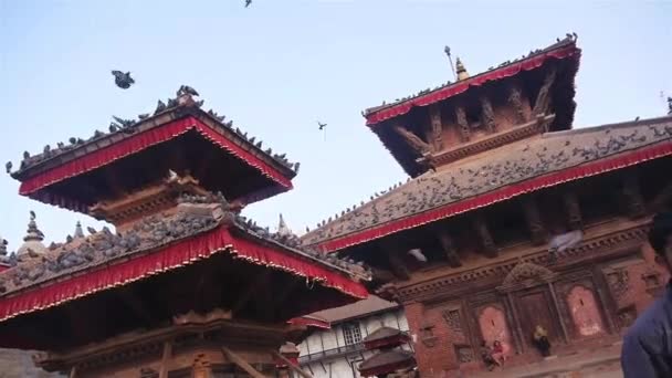 Vögel Fliegen Über Rotes Tempeldach Rutsche Links Dann Rechts — Stockvideo
