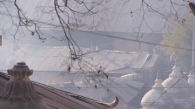 Şehrin önündeki siyah ışıkta, ağaç dallarının arkasında sigara dumanı kayar ve el kamerasıyla yukarıya doğru kayar. 