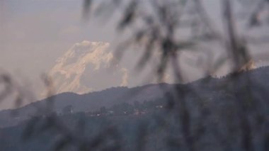 Ağaç dallarının arkasındaki siyah ışıkla kaplı manzara soldan sağa kayıyor. 