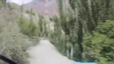 Driving Surrounded By Trees On Way To Mountain - Slide Forward