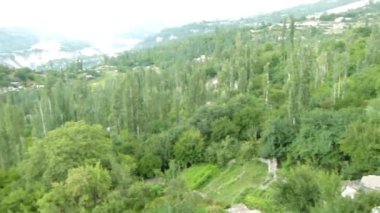 Landscape Of Flora And Moutains - Pan - Right To Left