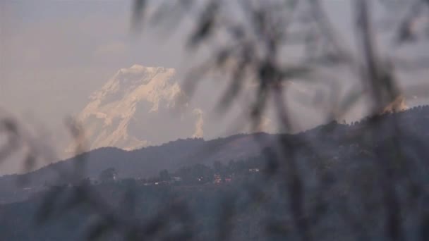 Paisaje Con Montaña Detrás Ramas Árboles Luz Negra Diapositiva Izquierda — Vídeos de Stock