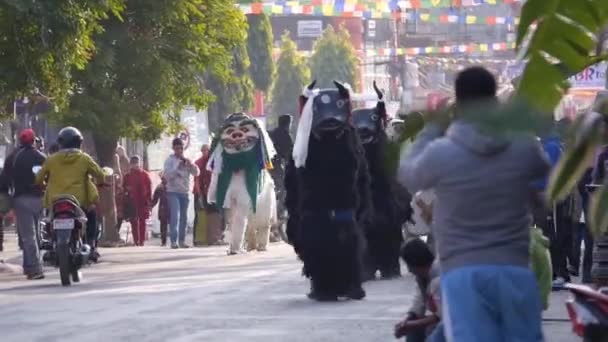 木々の近くの人々に囲まれた通りを歩くバッファローの衣装の人々 — ストック動画