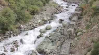 Rocks Near Water Source Flowing And Flora - Static